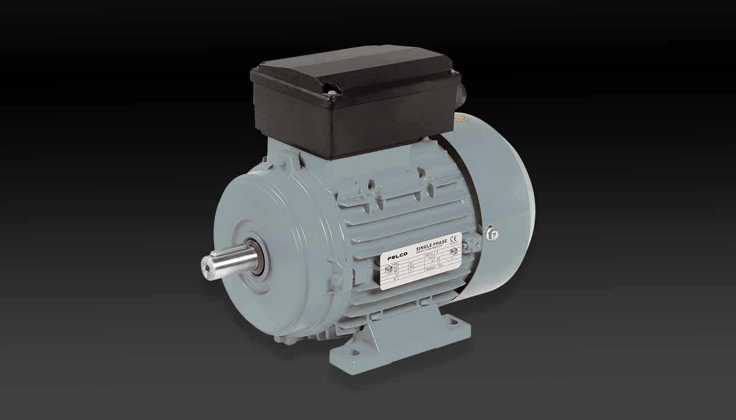 Single Phase Motors