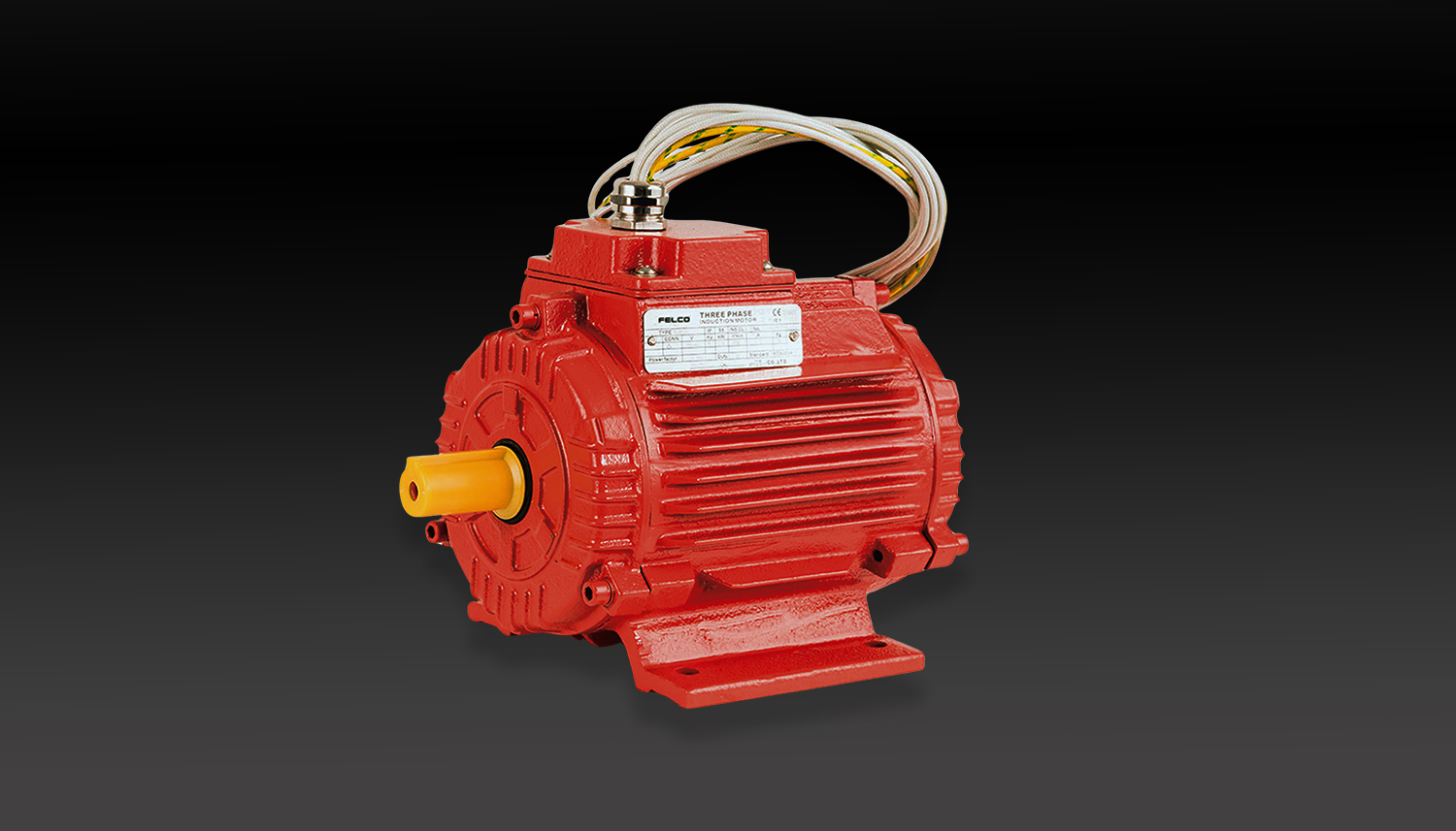 High Temperature Electric Motors